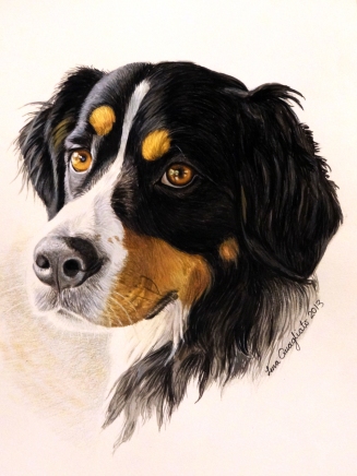 "Gunnison." Watercolor Pet Portrait