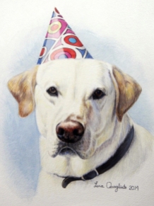 "Gilbert" (brother to Harry) white lab in party hat